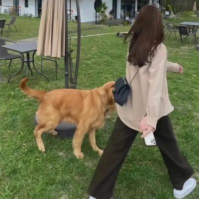 无名客栈之麒麟觉醒